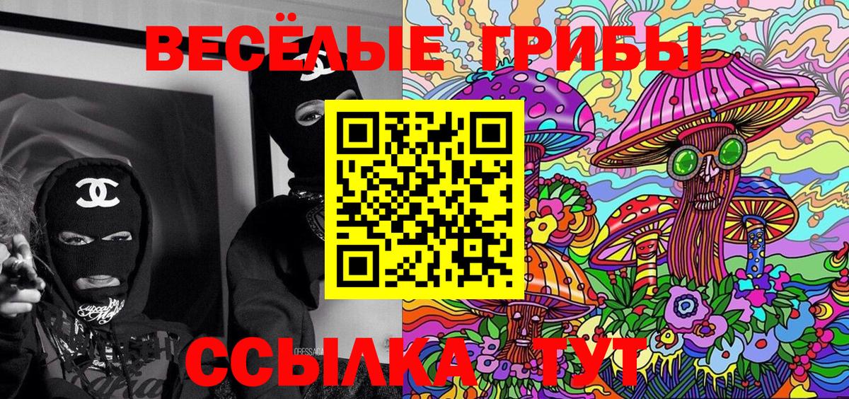 продажа наркотиков  Вход с VPN  Саров  Псилоцибиновые грибы Psilocybe 